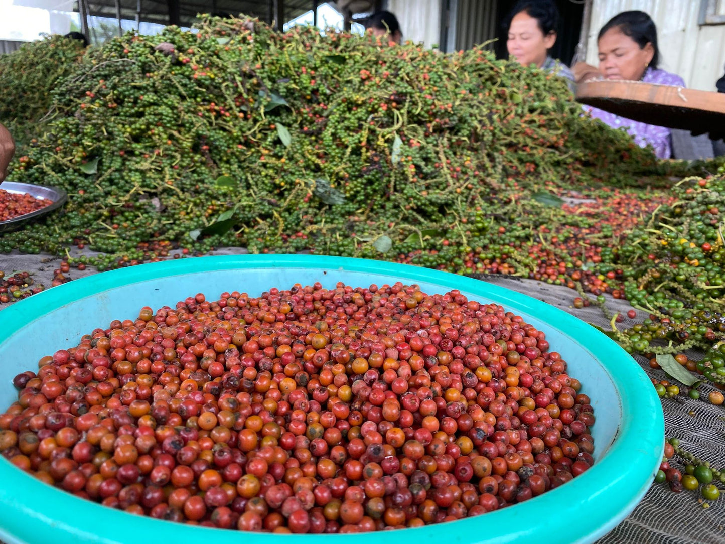 Kampot Rödpeppar