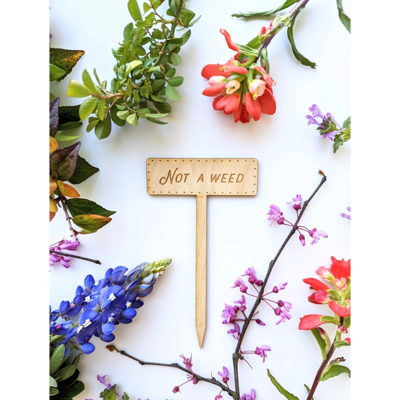 Planteringspinne "Not A Weed"