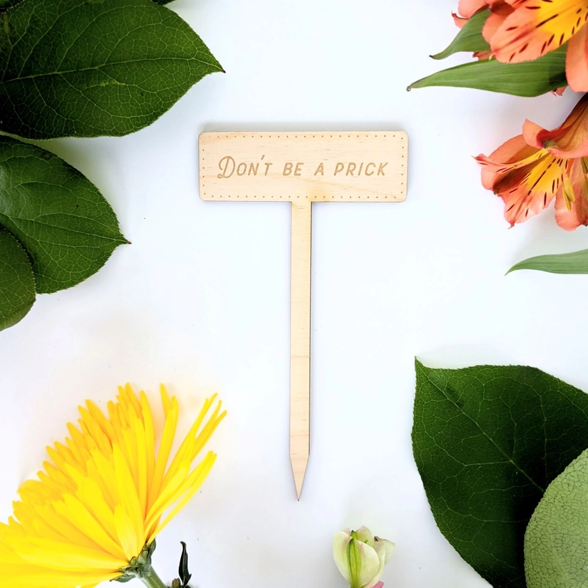 Planteringspinne "Don't be a prick"