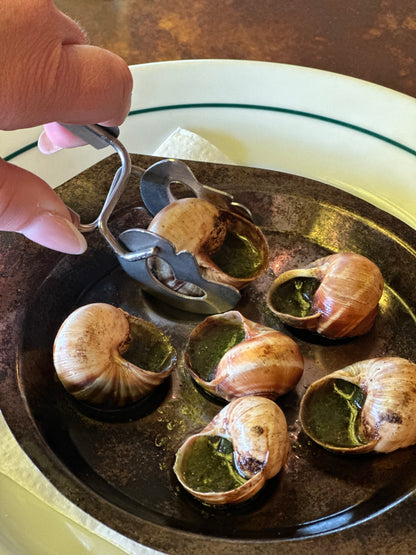 Snigeltång