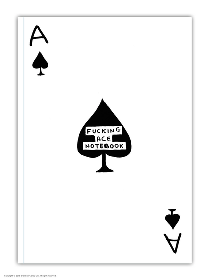Fucking Ace Notebook- David Shrigley