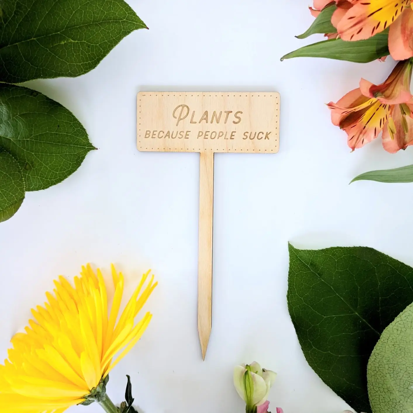 Planteringspinne "Plants because people suck"