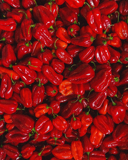 Cevichán Rojo
